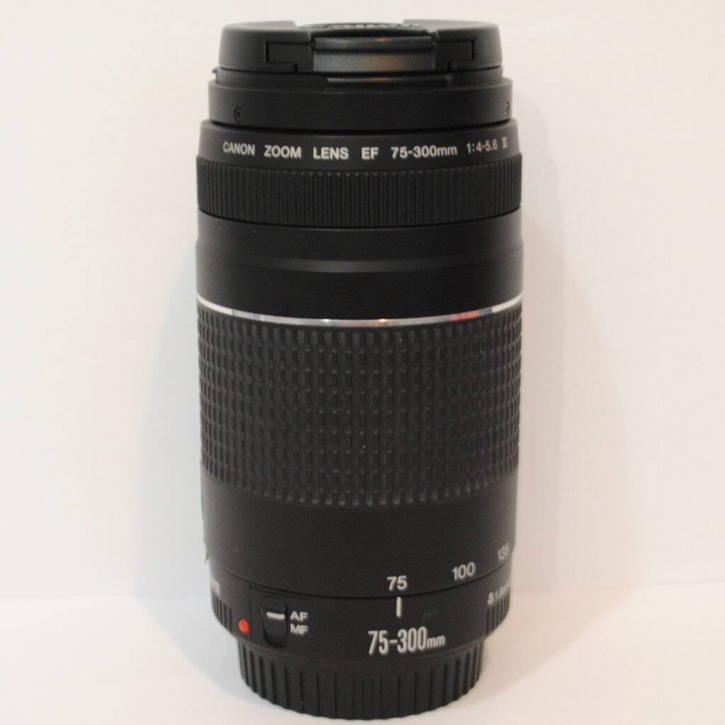 Canon EF 75-300mm 