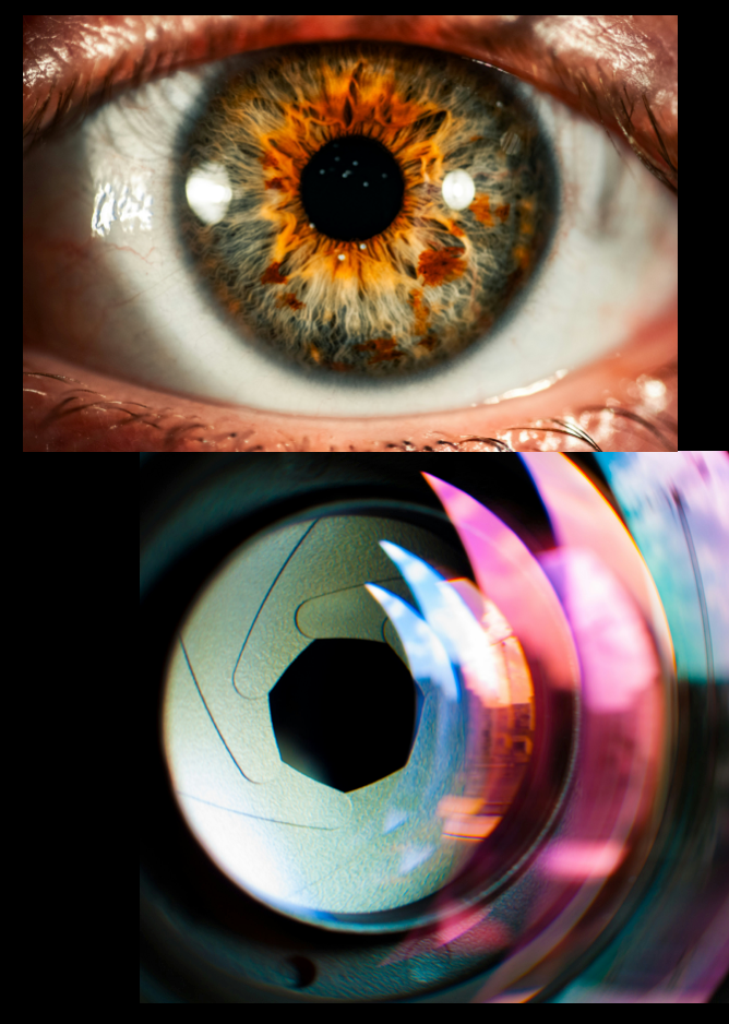 Aperture in photography explained: depth of field and bokeh — Good Used Cameras